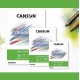 Canson Graduate Drawing 160 GSM 30 SHEETS